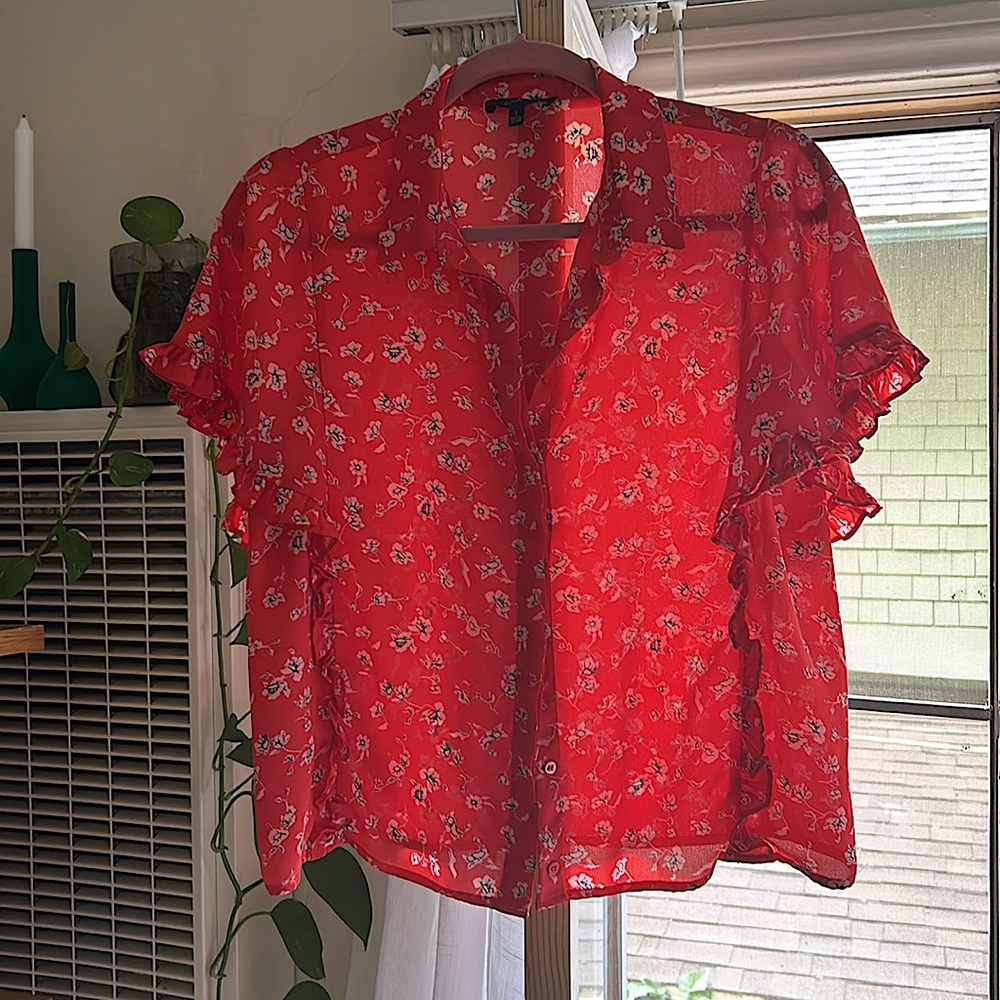 Eclair Ruffle Sheer Button-Up